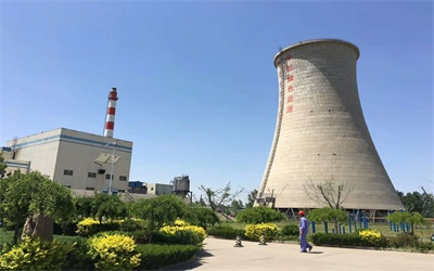 工業循環水系統中常見微生物的種類及危害 工業循環水系統中常見微生物的種類及危害